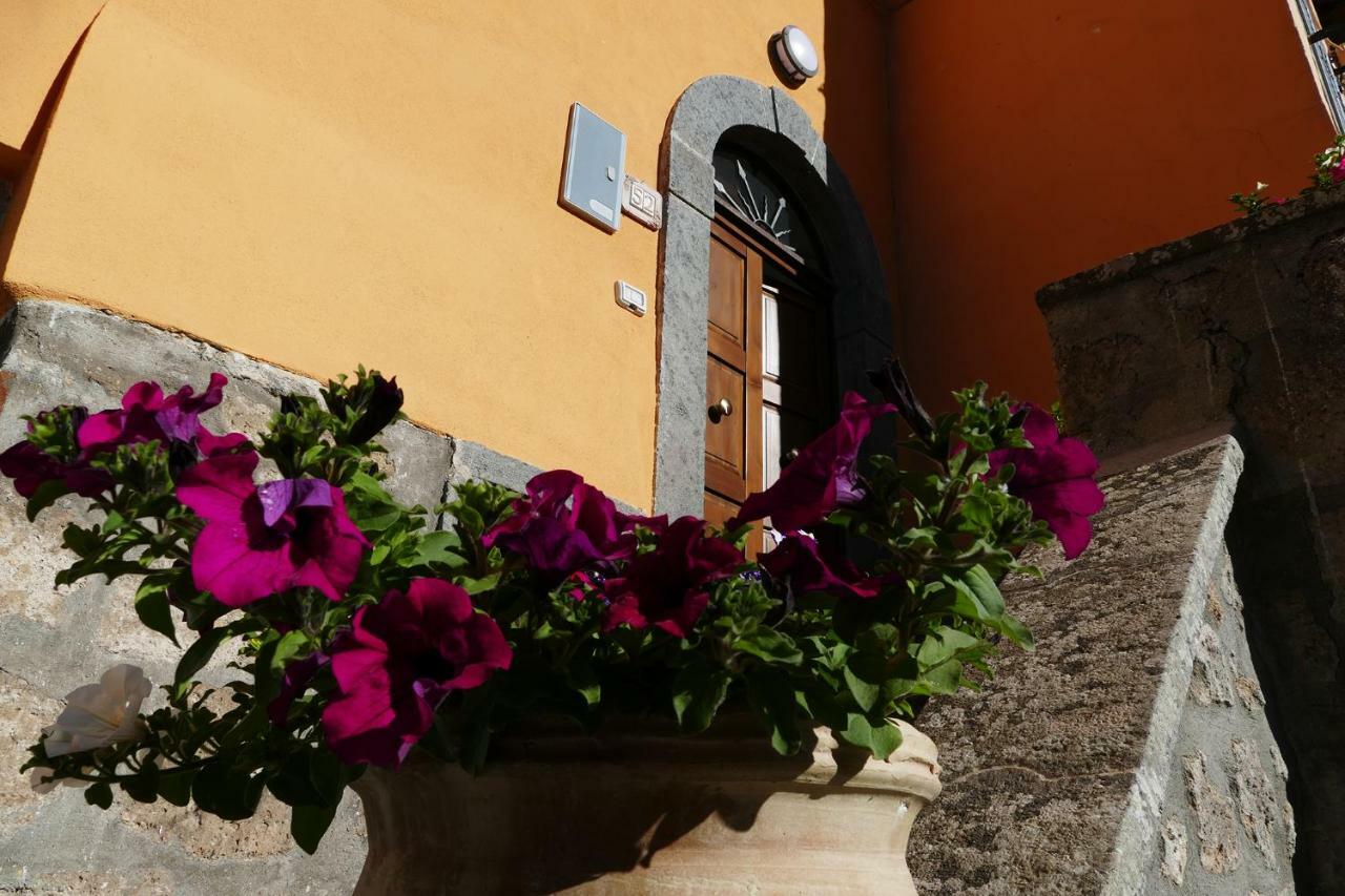 Apartament Francalancia52 Bagnoregio Zewnętrze zdjęcie