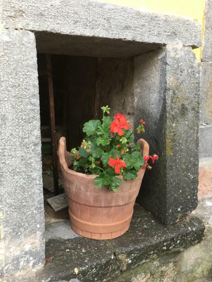 Apartament Francalancia52 Bagnoregio Zewnętrze zdjęcie