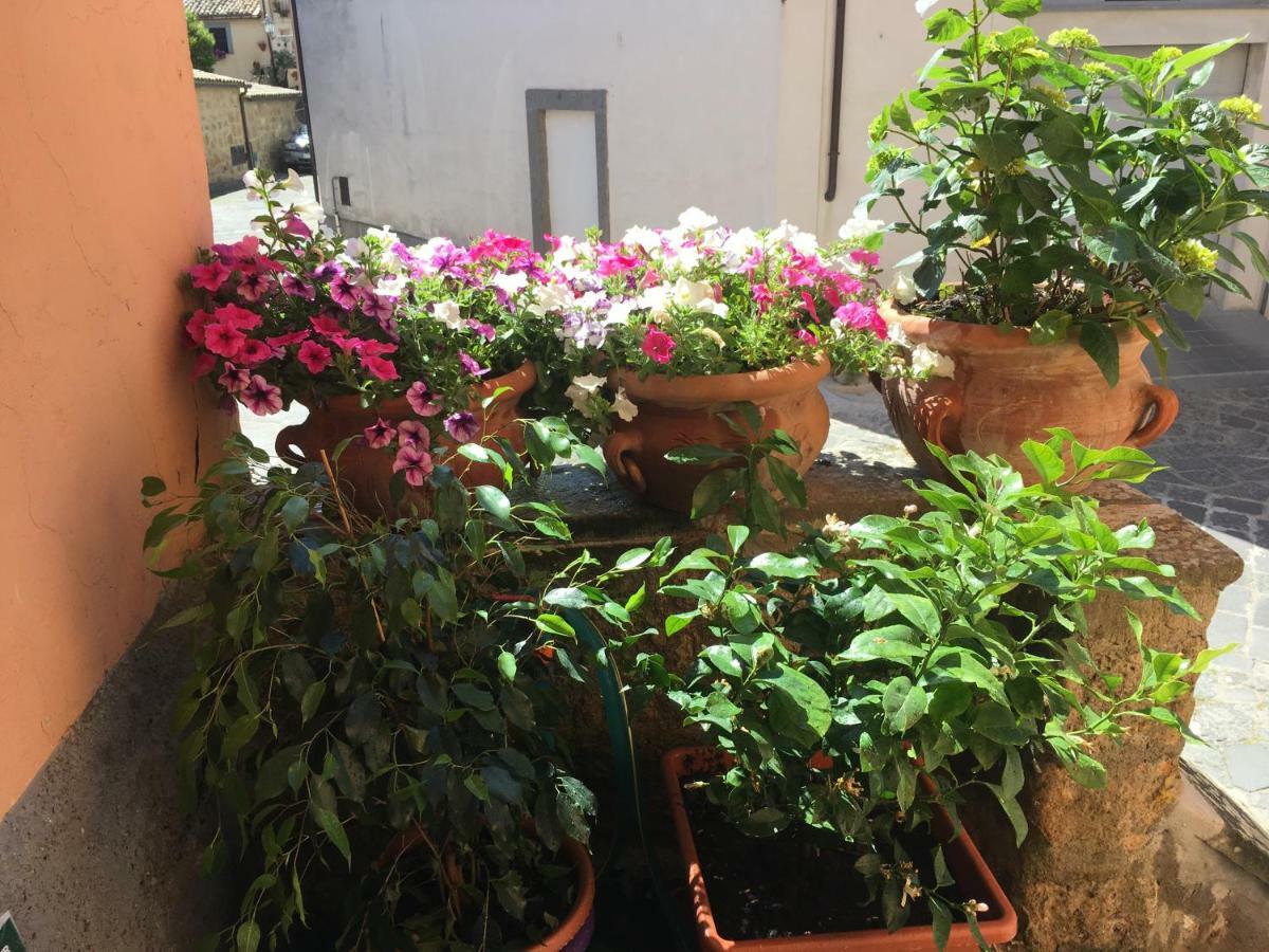 Apartament Francalancia52 Bagnoregio Zewnętrze zdjęcie